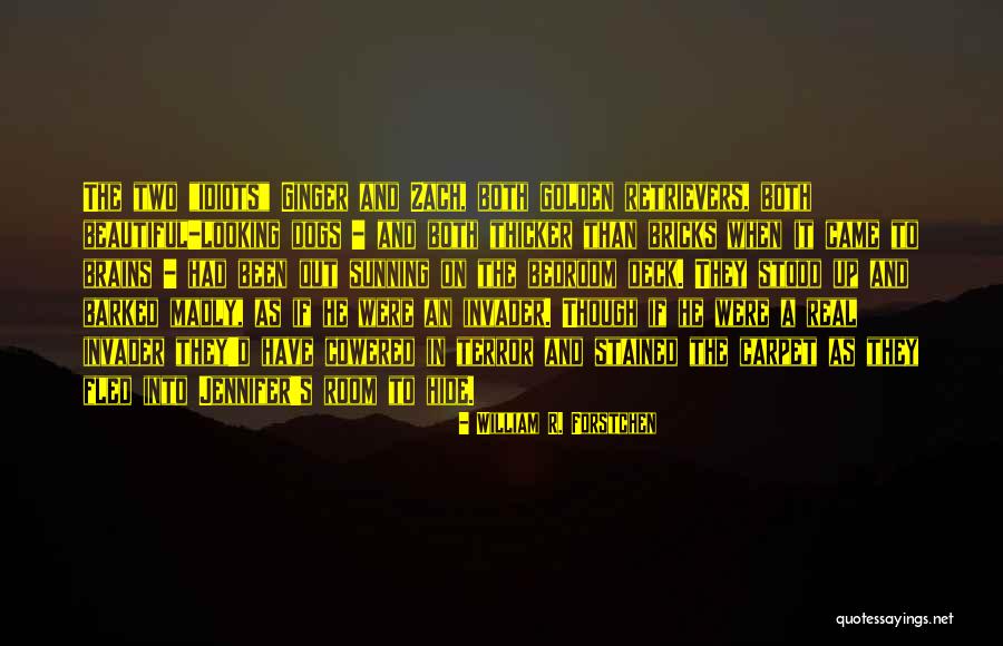 Kalogeras Financial Quotes By William R. Forstchen Kalogeras Financial Quotes By William R. Forstchen