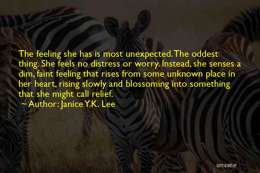 Kaltreider Library Quotes By Janice Y.K. Lee