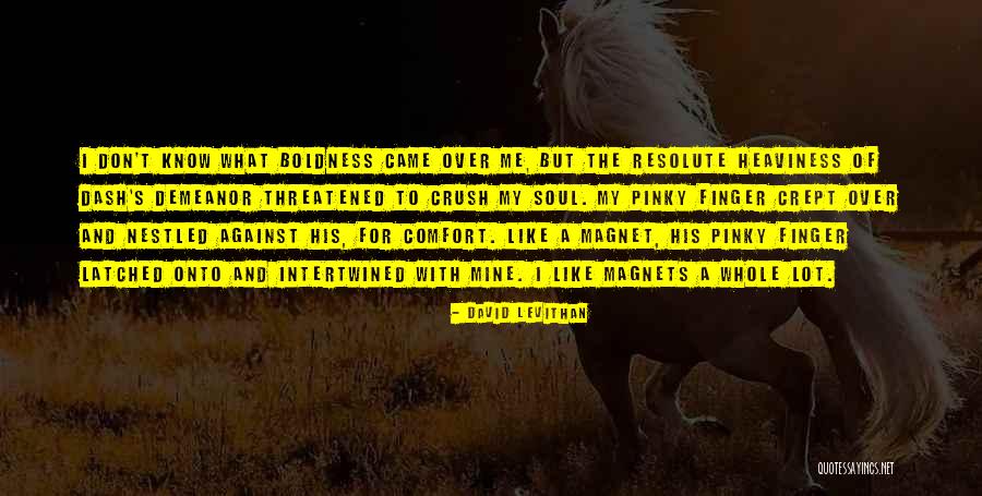 Kalyani Ragam Quotes By David Levithan Kalyani Ragam Quotes By David Levithan