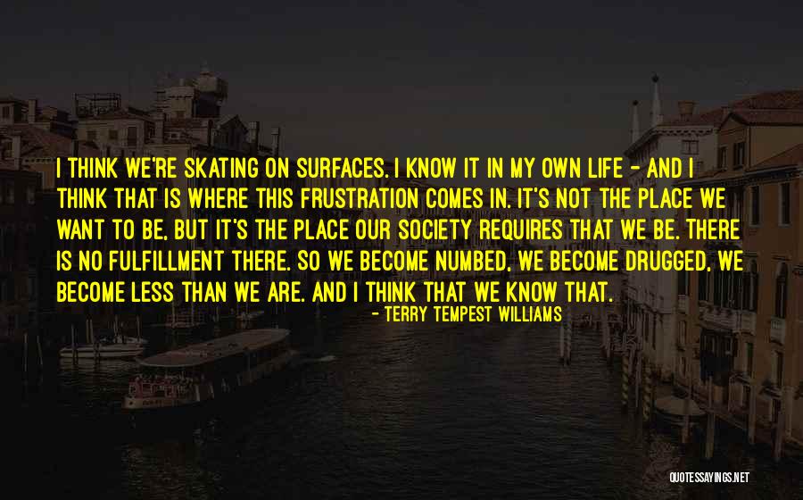 Kalykadnos Quotes By Terry Tempest Williams Kalykadnos Quotes By Terry Tempest Williams
