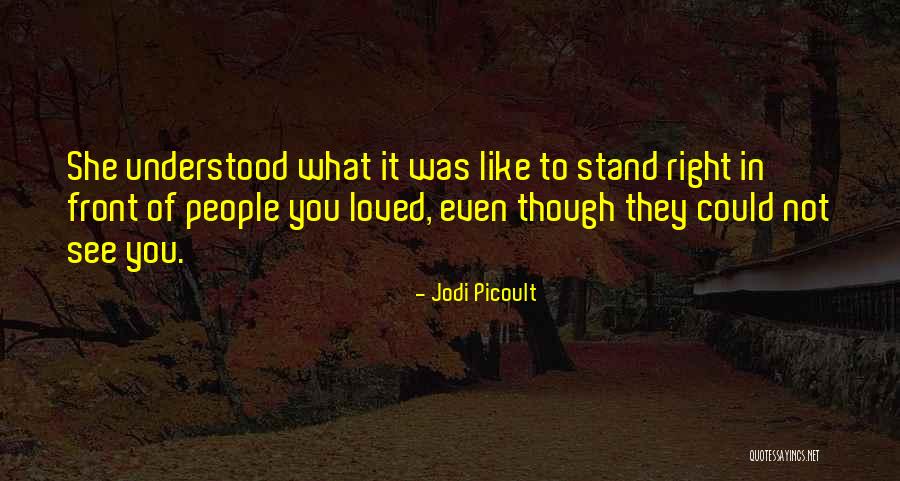 Kalykakis Quotes By Jodi Picoult Kalykakis Quotes By Jodi Picoult