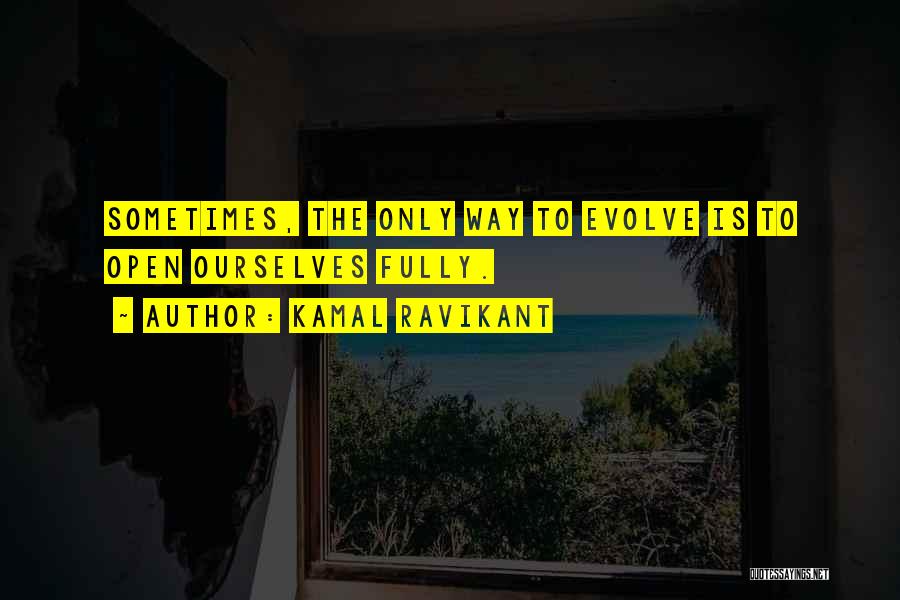 Kamal Ravikant Quotes 1350464