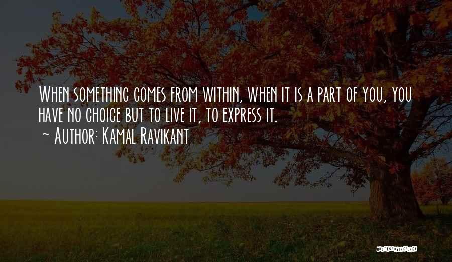 Kamal Ravikant Quotes 1478283