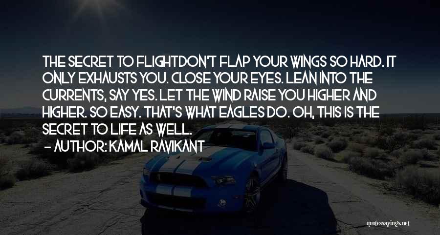 Kamal Ravikant Quotes 370843