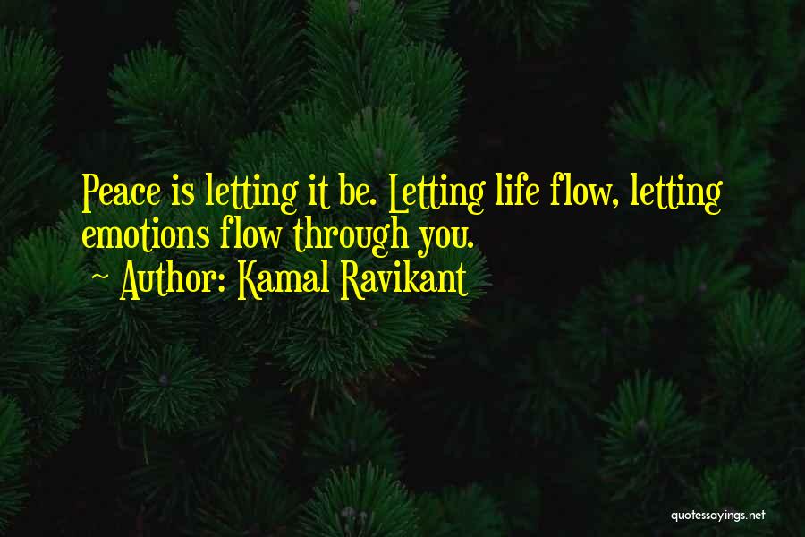 Kamal Ravikant Quotes 80240