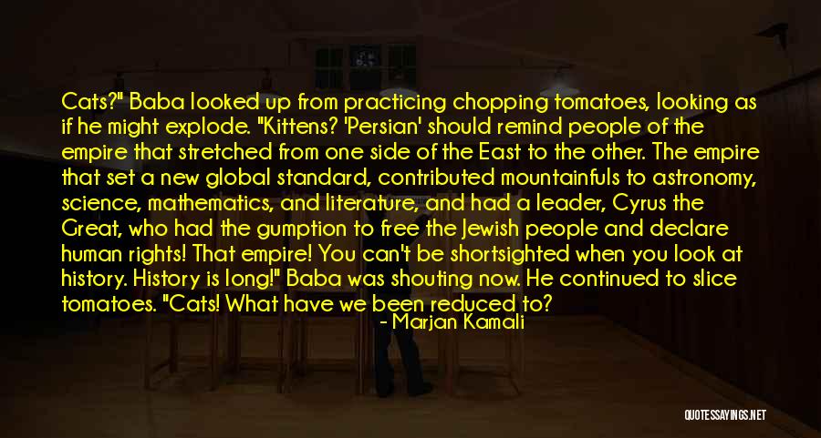 Kamali Quotes By Marjan Kamali Kamali Quotes By Marjan Kamali