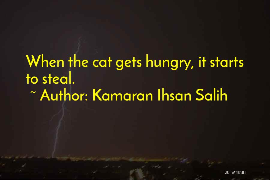 Kamaran Ihsan Salih Quotes 92987