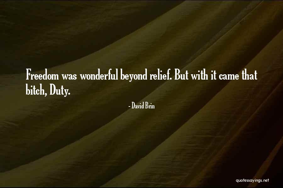 Kamau Marshall Quotes By David Brin Kamau Marshall Quotes By David Brin