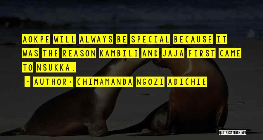 Kambili In Purple Hibiscus Quotes By Chimamanda Ngozi Adichie