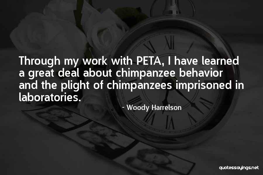 Kambiz Bral Rochester Quotes By Woody Harrelson Kambiz Bral Rochester Quotes By Woody Harrelson