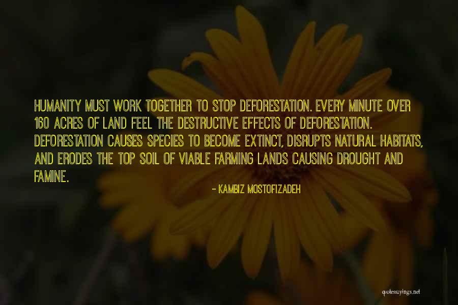 Kambiz Mostofizadeh Quotes 175312 Kambiz Mostofizadeh Quotes 175312