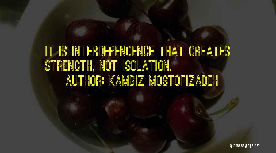 Kambiz Mostofizadeh Quotes 2231952