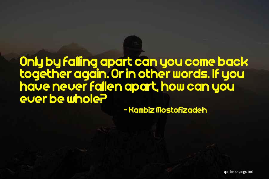 Kambiz Mostofizadeh Quotes 259580 Kambiz Mostofizadeh Quotes 259580