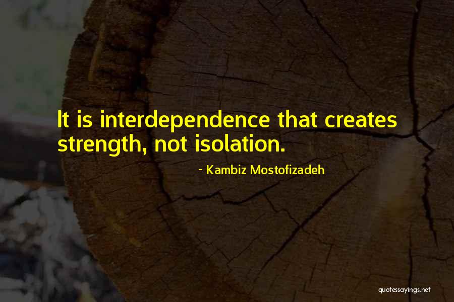 Kambiz Quotes By Kambiz Mostofizadeh