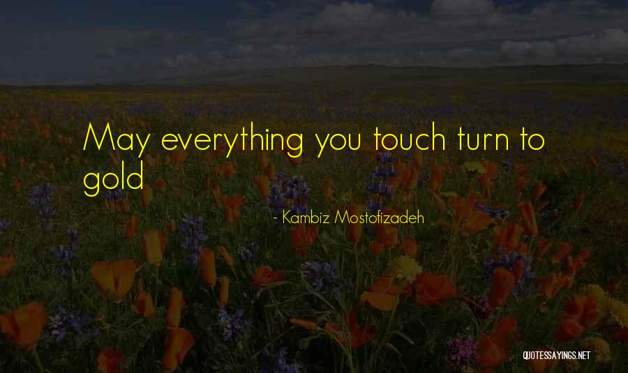 Kambiz Quotes By Kambiz Mostofizadeh