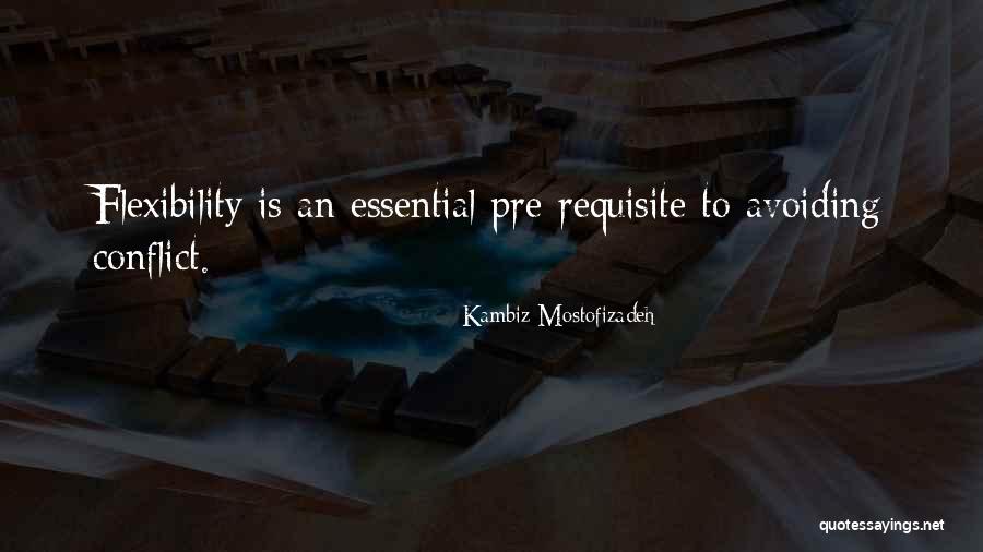 Kambiz Quotes By Kambiz Mostofizadeh