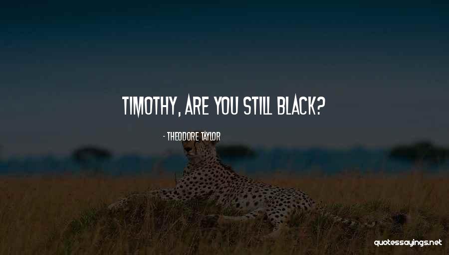 Kamea Designs Quotes By Theodore Taylor Kamea Designs Quotes By Theodore Taylor