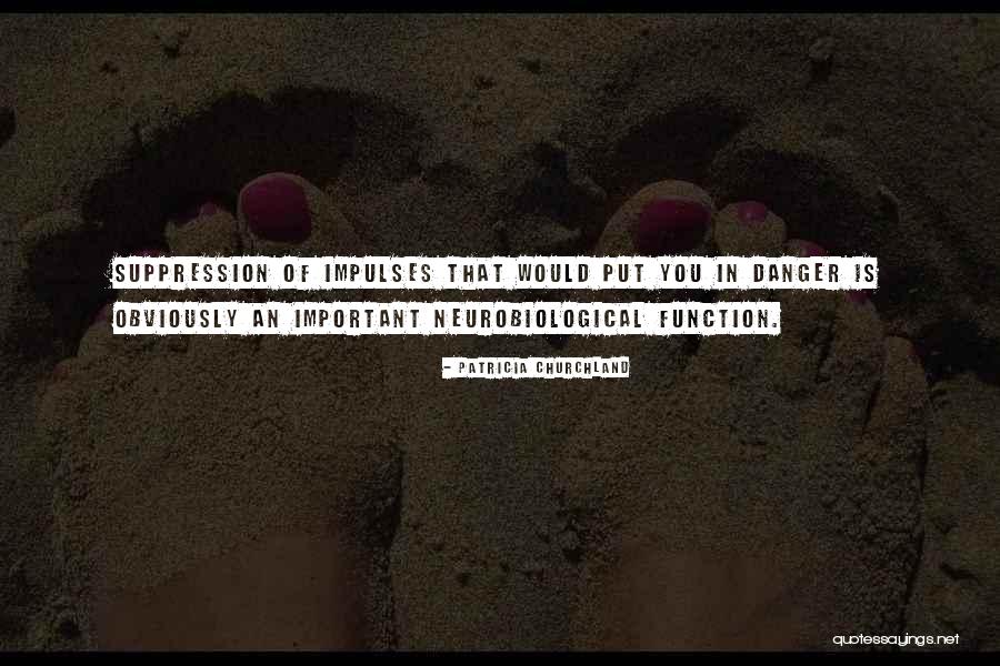 Kamehachi Northbrook Quotes By Patricia Churchland Kamehachi Northbrook Quotes By Patricia Churchland