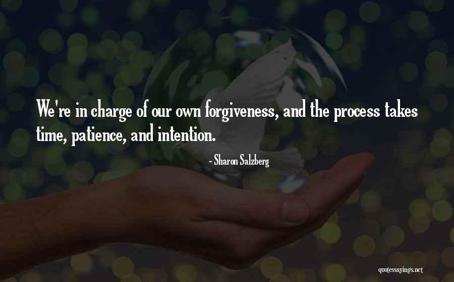 Kamen Rider Faiz Quotes By Sharon Salzberg Kamen Rider Faiz Quotes By Sharon Salzberg