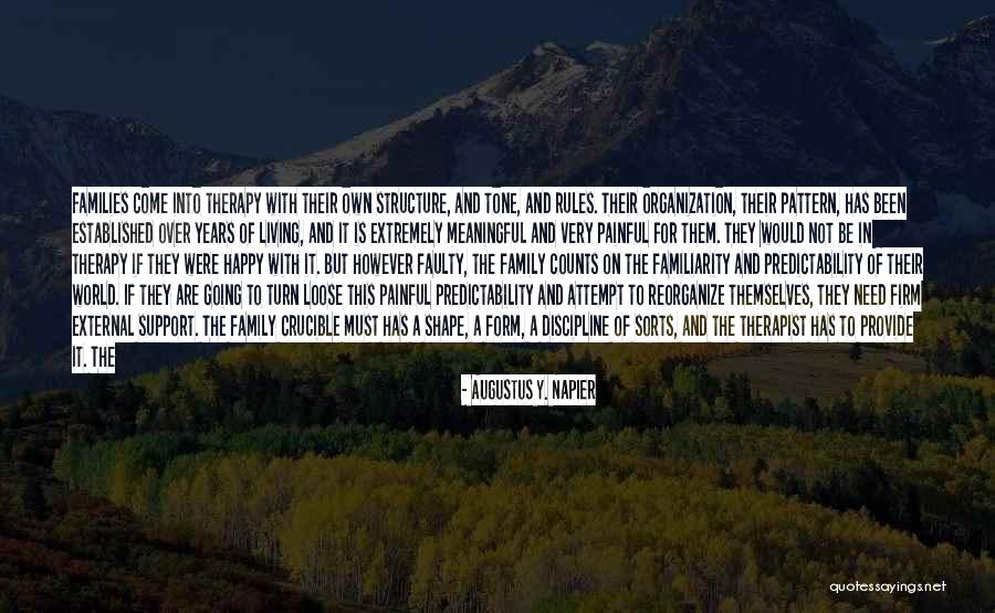 Kamenari Quotes By Augustus Y. Napier Kamenari Quotes By Augustus Y. Napier