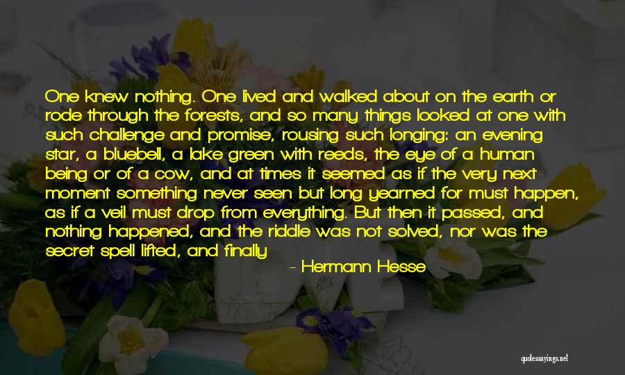 Kameoka Torokko Quotes By Hermann Hesse Kameoka Torokko Quotes By Hermann Hesse