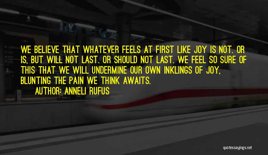 Kamermayer K Roly Quotes By Anneli Rufus