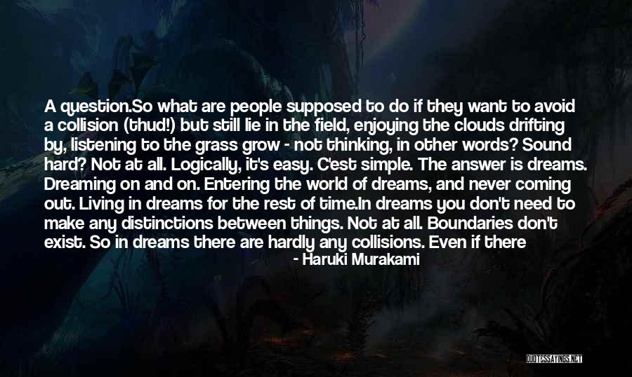 Kameyama Lake Quotes By Haruki Murakami Kameyama Lake Quotes By Haruki Murakami