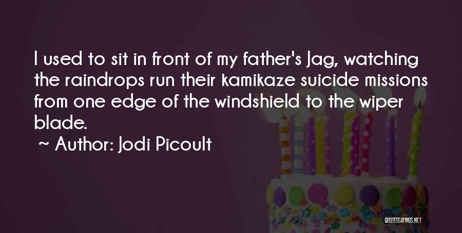 Kamikaze Quotes By Jodi Picoult