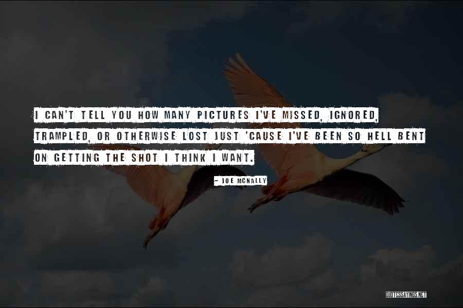 Kamilia Quotes By Joe McNally Kamilia Quotes By Joe McNally