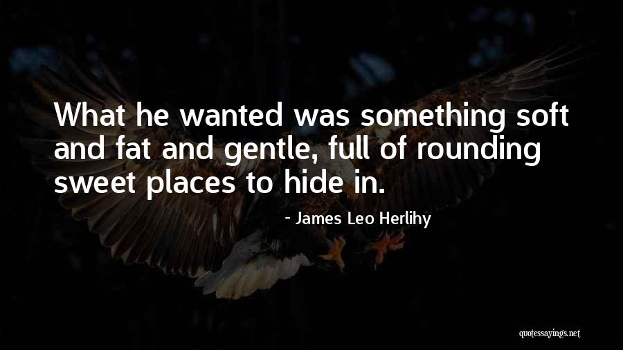Kamimoto Violin Quotes By James Leo Herlihy Kamimoto Violin Quotes By James Leo Herlihy