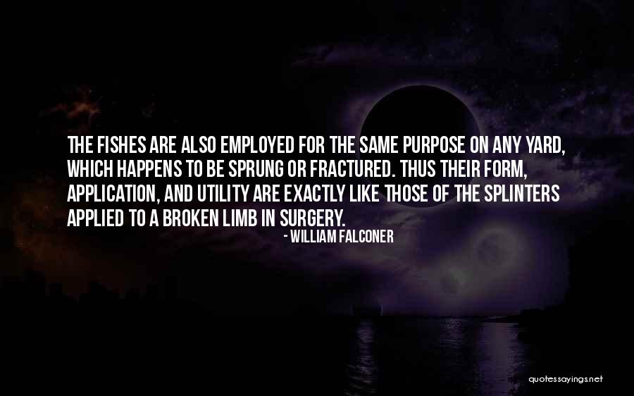 Kaminsky Hotel Quotes By William Falconer Kaminsky Hotel Quotes By William Falconer