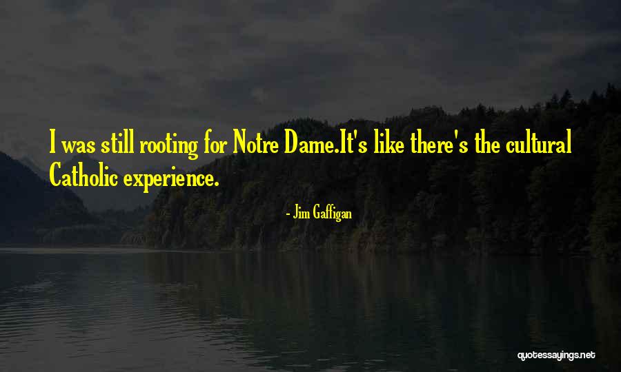 Kamiteka Quotes By Jim Gaffigan Kamiteka Quotes By Jim Gaffigan
