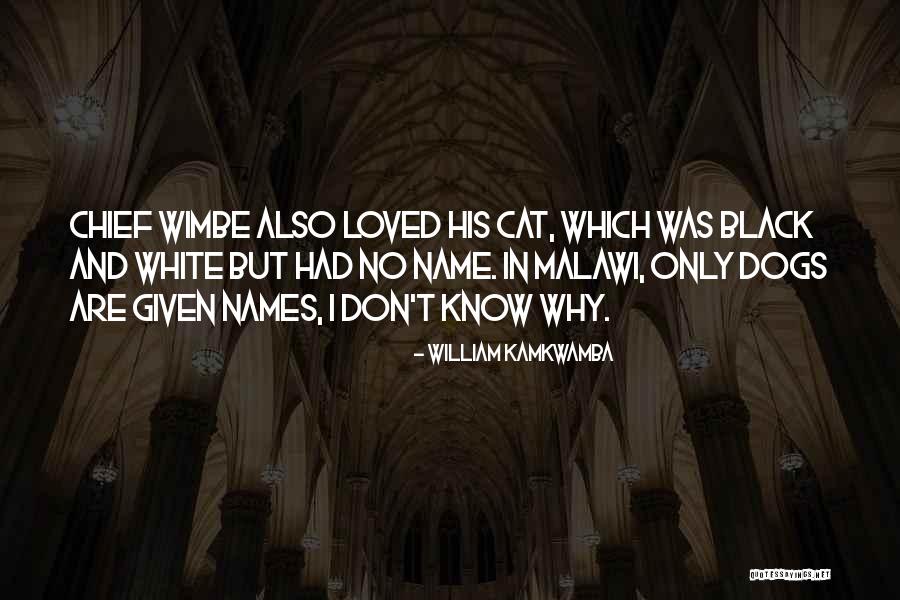 Kamkwamba William Quotes By William Kamkwamba Kamkwamba William Quotes By William Kamkwamba