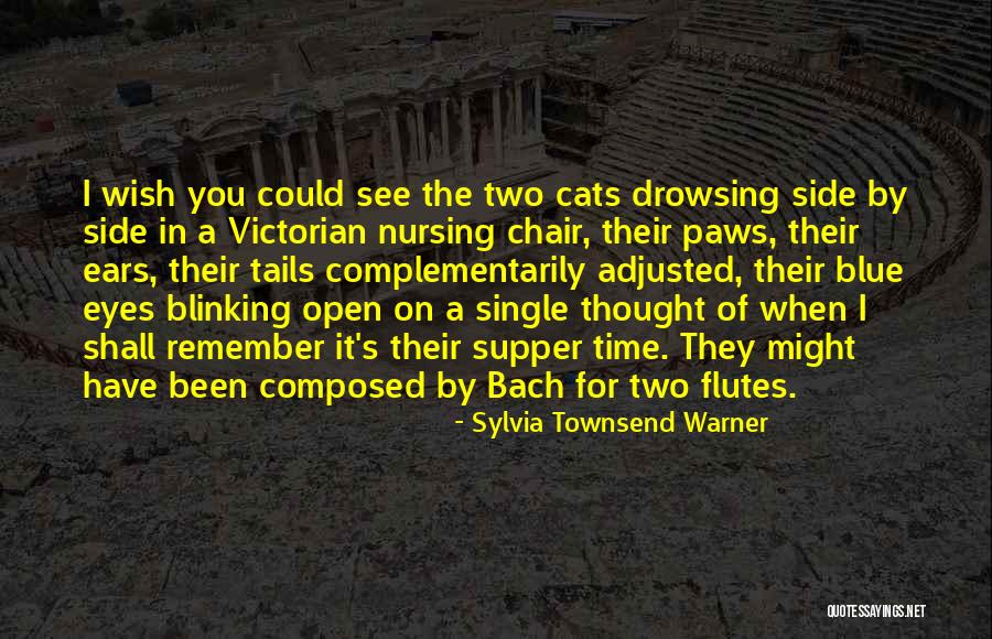 Kammerer Guitar Quotes By Sylvia Townsend Warner Kammerer Guitar Quotes By Sylvia Townsend Warner