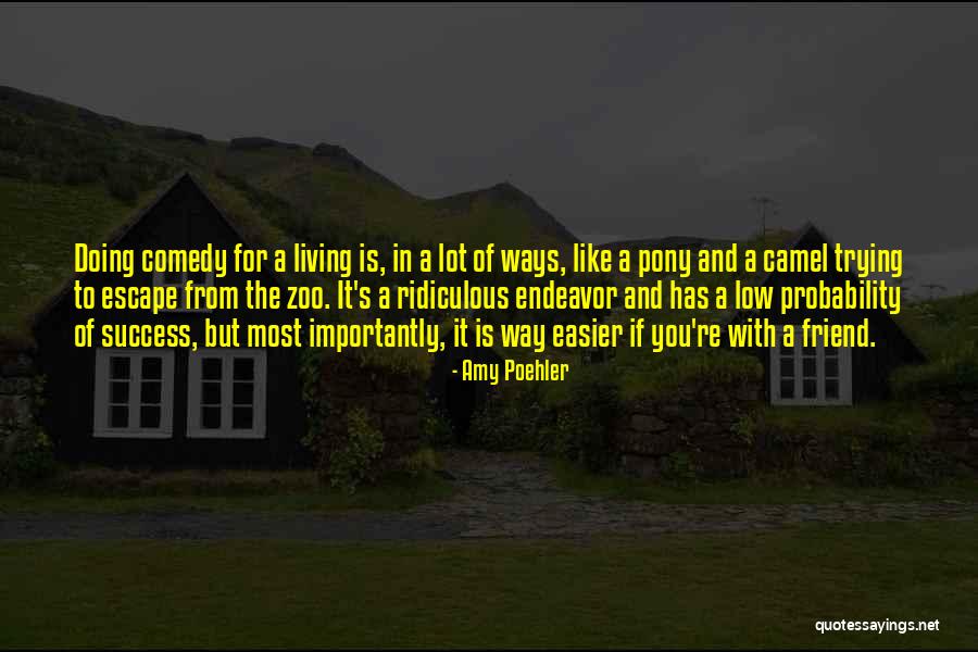 Kamuran Demirkaya Quotes By Amy Poehler Kamuran Demirkaya Quotes By Amy Poehler