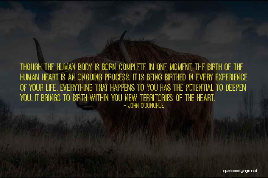 Kamyonlar M Zigi Quotes By John O'Donohue Kamyonlar M Zigi Quotes By John O'Donohue