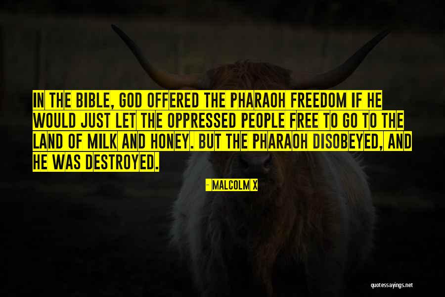Kana Kana Ruchira Quotes By Malcolm X Kana Kana Ruchira Quotes By Malcolm X
