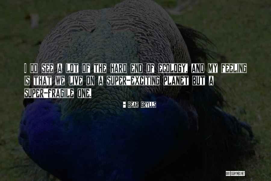 Kanan Matsuura Quotes By Bear Grylls Kanan Matsuura Quotes By Bear Grylls