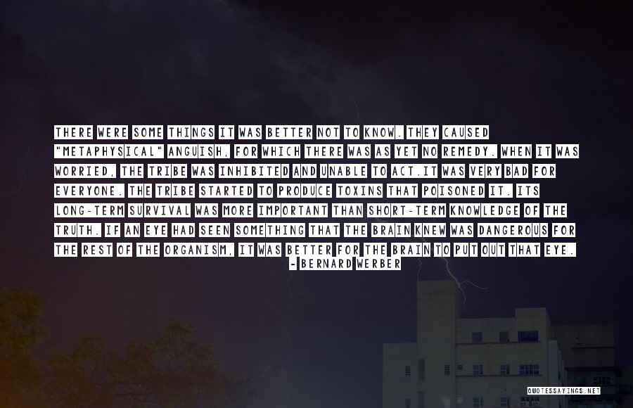 Kancelarijske Quotes By Bernard Werber Kancelarijske Quotes By Bernard Werber