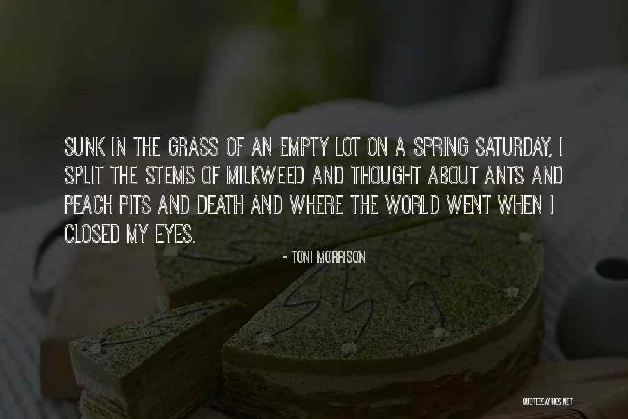 Kancharla Gopana Quotes By Toni Morrison Kancharla Gopana Quotes By Toni Morrison