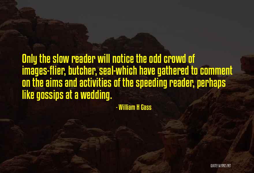 Kandell Ber Quotes By William H Gass Kandell Ber Quotes By William H Gass