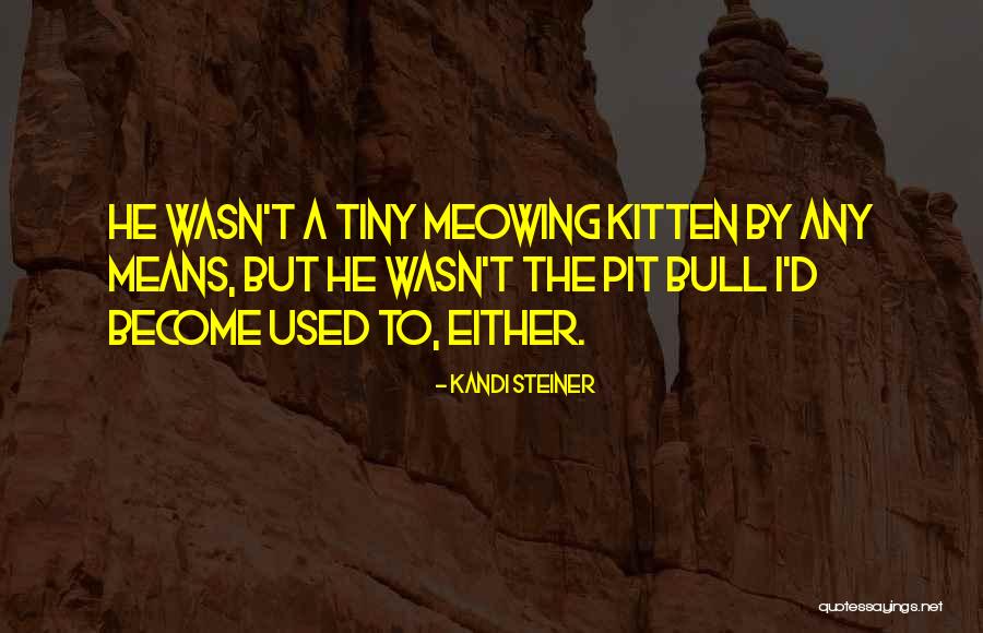 Kandi Steiner Quotes 607708 Kandi Steiner Quotes 607708