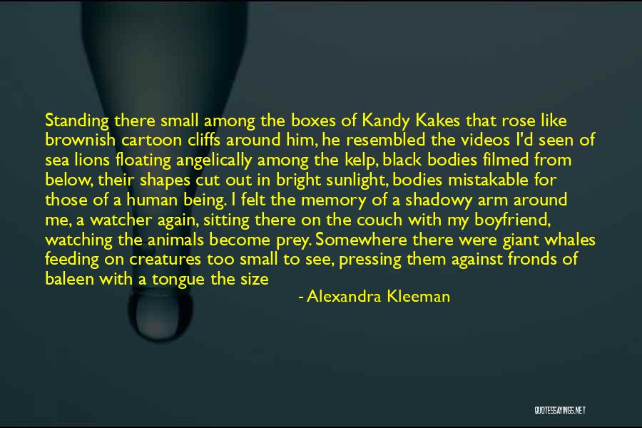 Kandy Quotes By Alexandra Kleeman