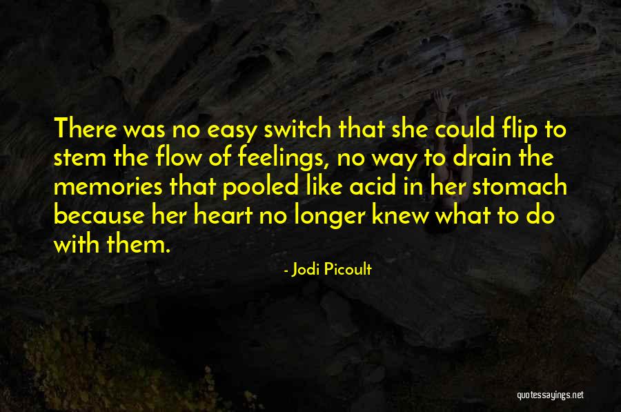 Kaneria Quotes By Jodi Picoult Kaneria Quotes By Jodi Picoult