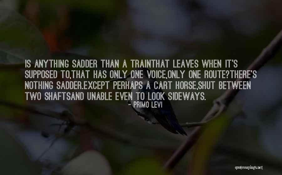 Kaneria Quotes By Primo Levi Kaneria Quotes By Primo Levi