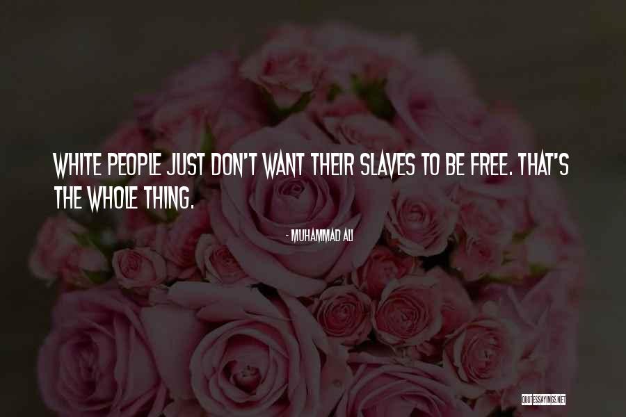 Kanfer Shipping Quotes By Muhammad Ali Kanfer Shipping Quotes By Muhammad Ali