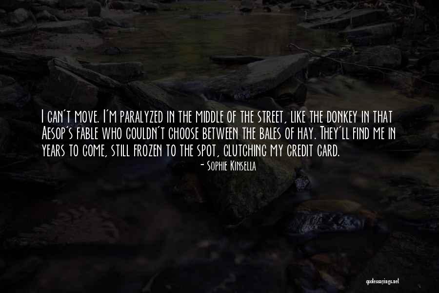 Kanfer Shipping Quotes By Sophie Kinsella Kanfer Shipping Quotes By Sophie Kinsella