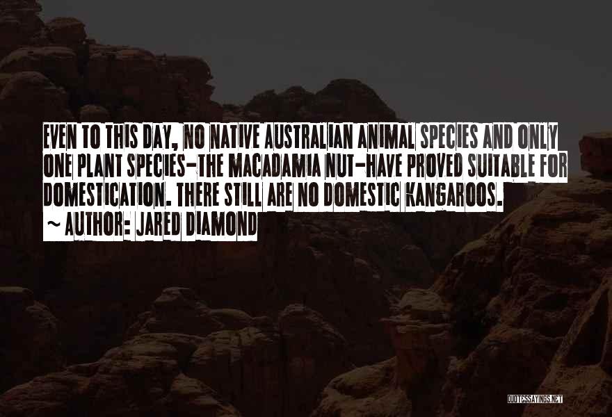 Kangaroos Quotes By Jared Diamond