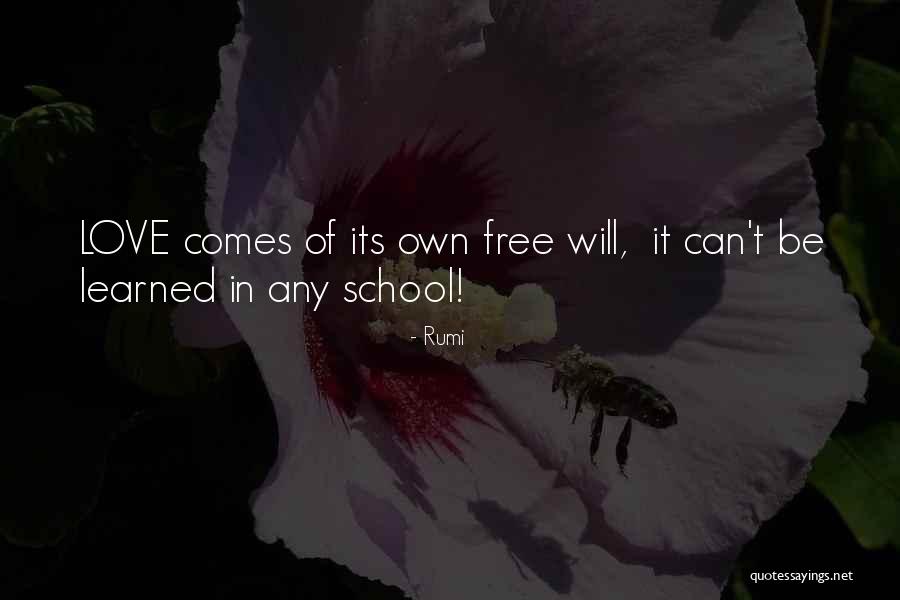Kaniesha Quotes By Rumi Kaniesha Quotes By Rumi