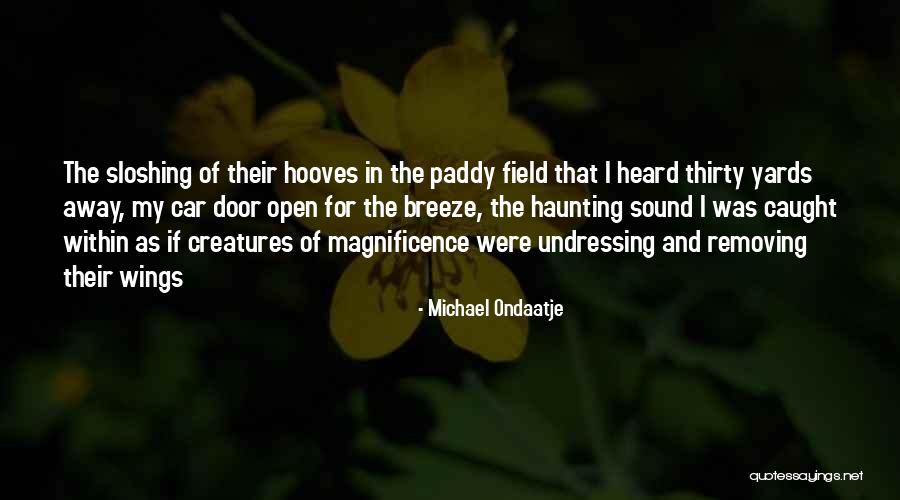 Kanino Ka Quotes By Michael Ondaatje